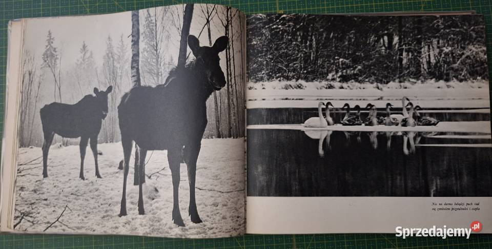 Na łowy Zdzisław Wdowiński Kraków