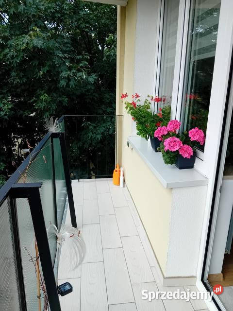 wynajmu mieszkania Warszawa 47m2 3 pokojowe