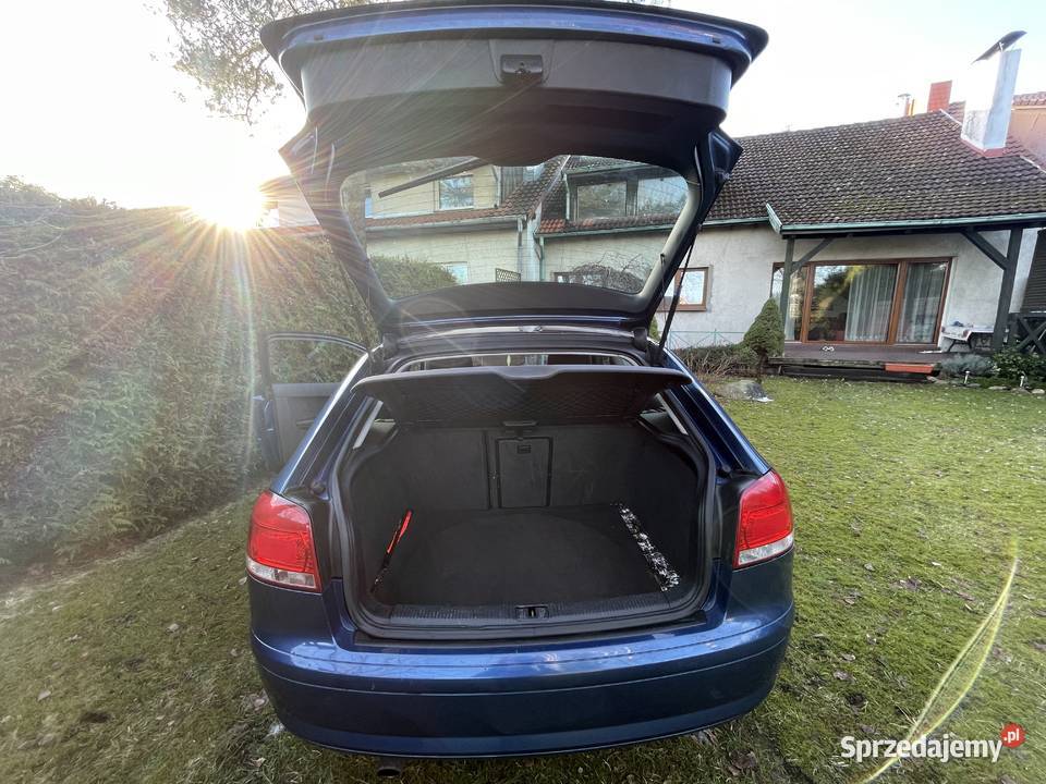 Audi A3 8P 16 MPI LPG Rok produkcji 2003 Słupsk