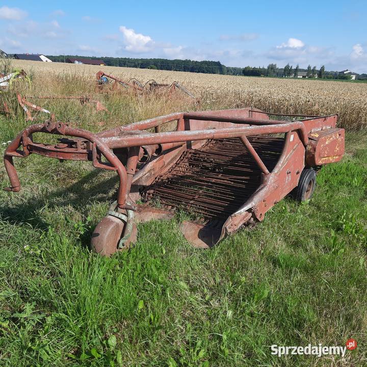 Kopaczka mazowieckie sprzedam