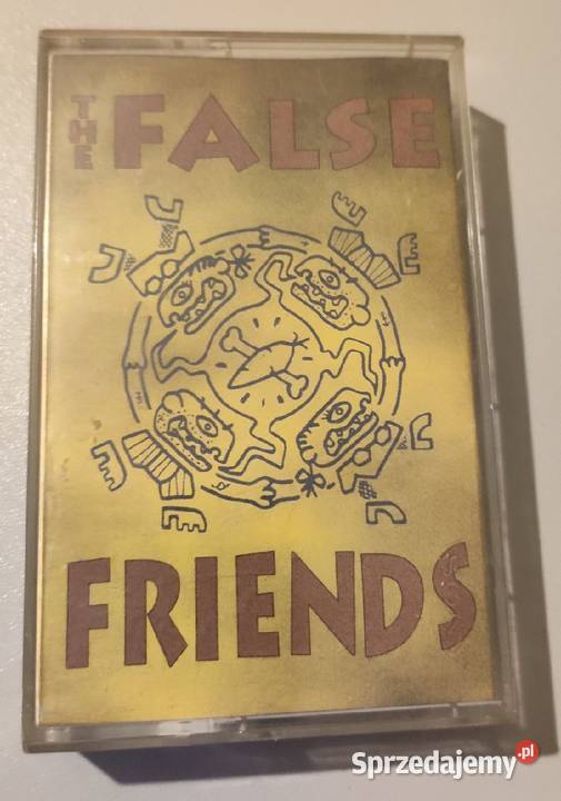 The False Friends Heartcore rec Punk folk MC Rybnik