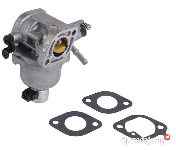 Gaźnik 699807 Kamionna