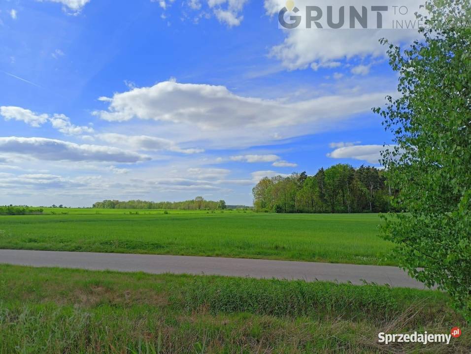Działki budowlane ostatnia okazja mazowieckie Czachowo