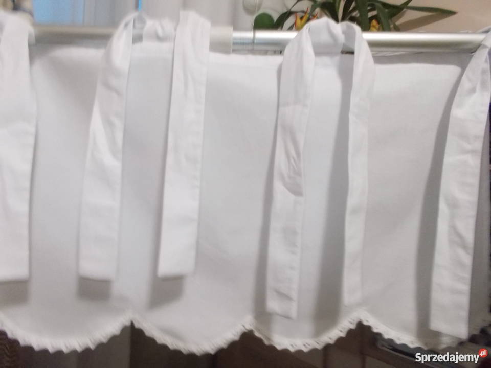 zazdroski na troczkach Włocławek sprzedam