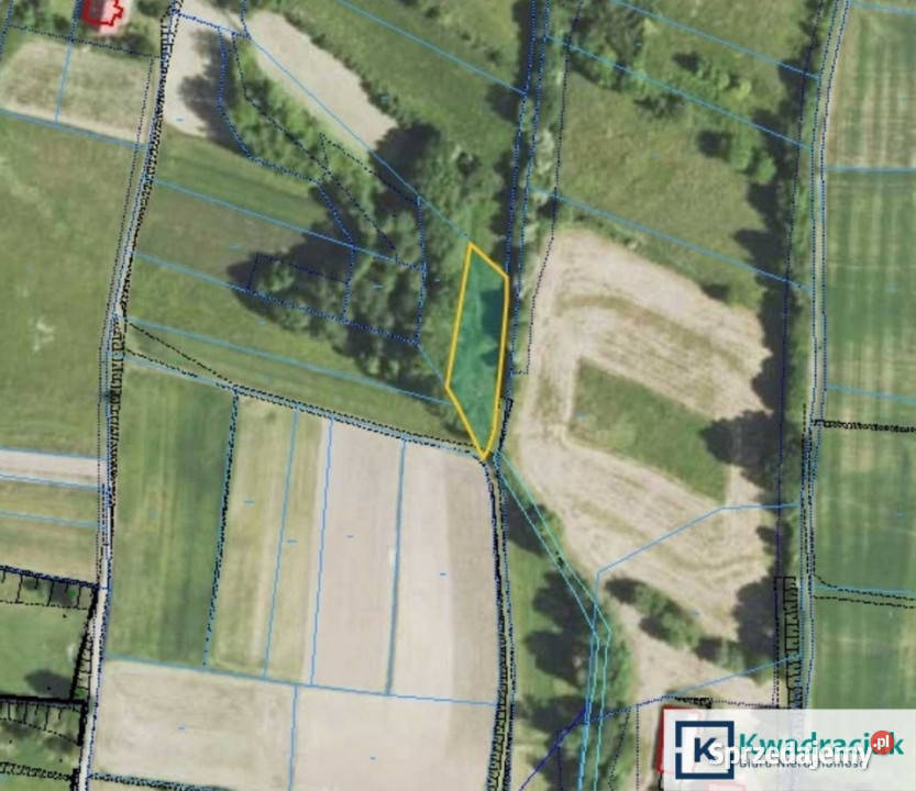 Grunt Gogołów 12200m2