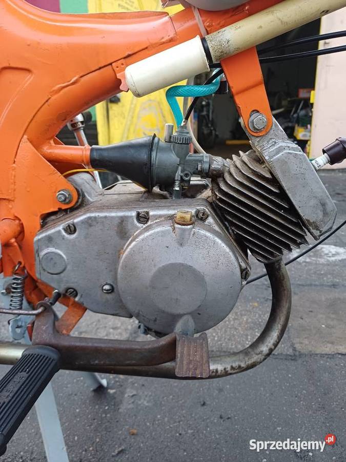 Komar zarejestrowany 244km lubuskie Kożuchów