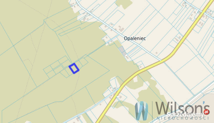 Działka Opaleniec 3010m2 polna sprzedam