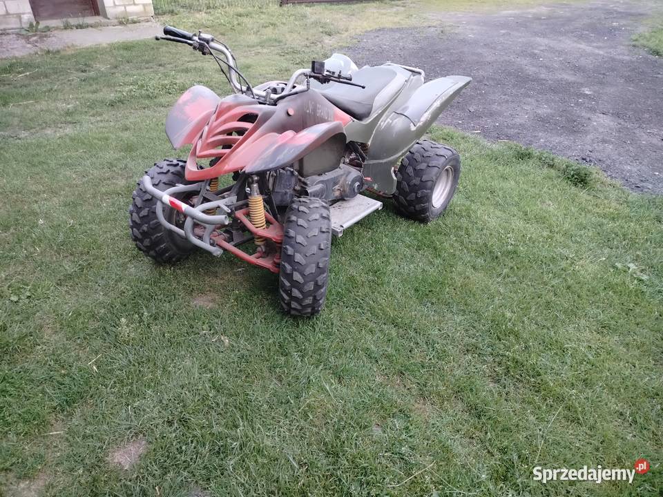 Quad 250 Bashan Wieluń
