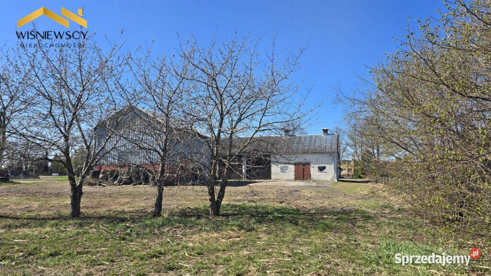 Dom z zabudowaniami działka 5300m Kościeleczki