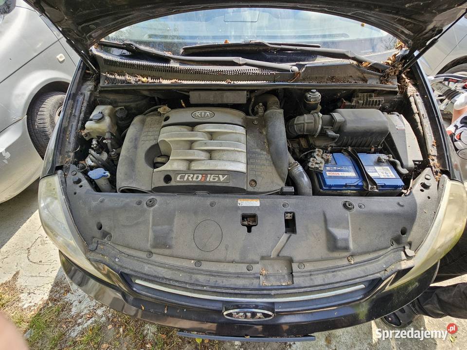 Kia Carnival 3 Szczecin