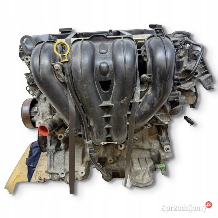 SILNIK Q7DA Ford Focus II MK2 C C 18 16V 125 Chełm