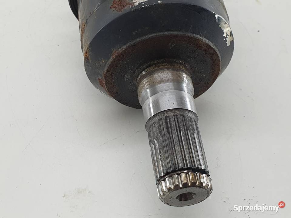 POLOS POLOSKA PRZEGUB CECTEK 500 GLADIATOR sprzedam