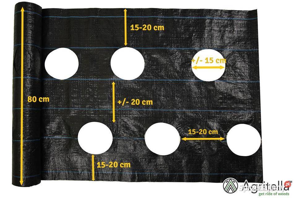 Agrotkanina OTWORY pod TRUSKAWKI 08 x 20m 2 mazowieckie Cieśle