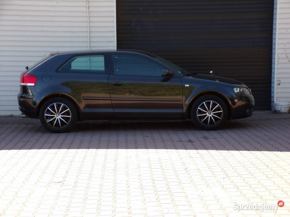 Audi A3 3drzwiowe Klimatronic BOSE 16 mpi 102 8P śląskie