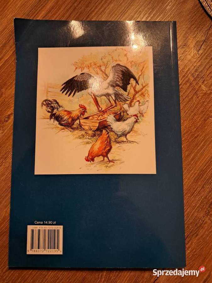 książka Kajtkowe przygody Marii Kownackiej stan Sandomierz