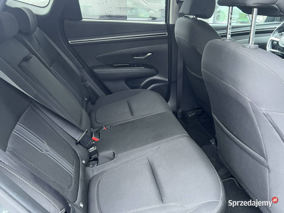 Hyundai Tucson 16TGDI HEV 230 Executive Pierwszy automatyczna łódzkie Piotrków Trybunalski
