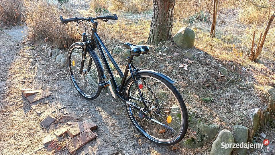 Alu Rower Miejski Damski Bulls Street Flyer 3x8