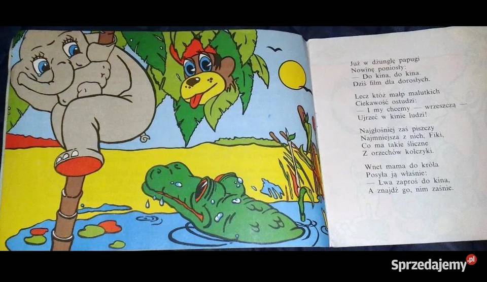 Kino Fiki Konga Artur Kaltbaum Pozostałe Chełm