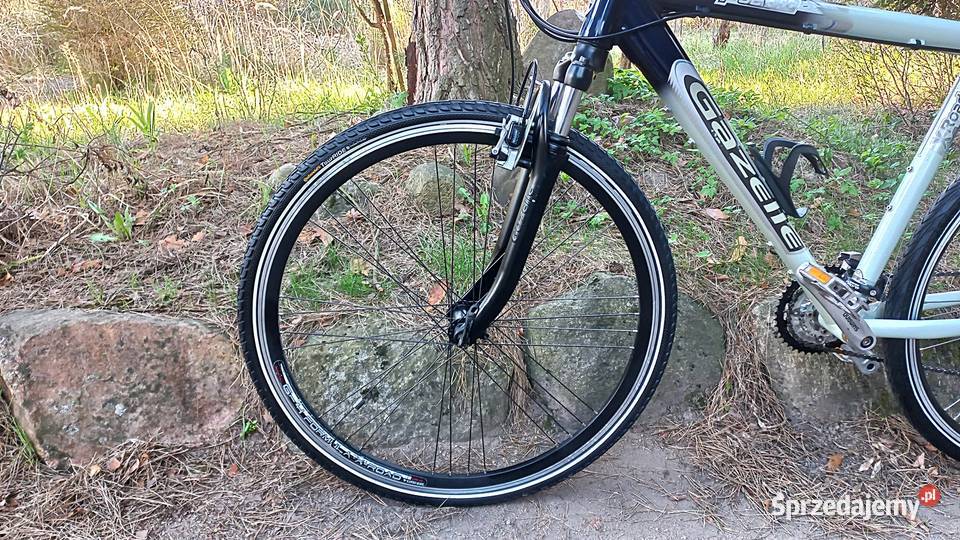 Alu Rower Miejski Męski Gazelle Puerto 3x8 Wołów