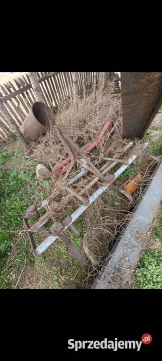 Pielnik ziemniaków kukurydzy Radziłów