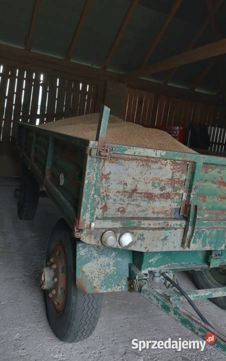 Przyczepa rolnicza Autosan D50 Przyczepy rolnicze