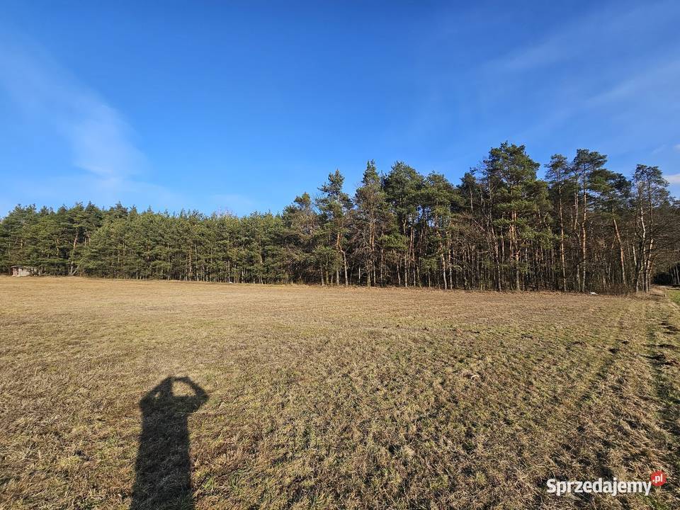 Działka Rolna Kolonia Rozniszew Warka