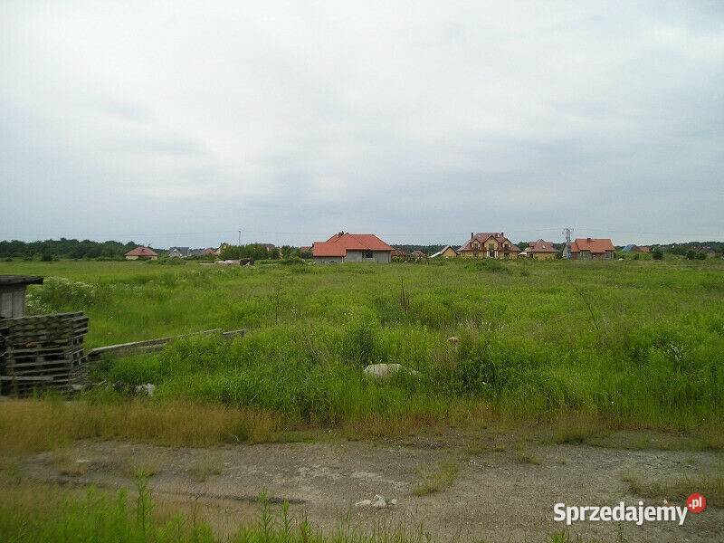 Działka Budowlana 1500 m2 Orla MEDIA Wilkszyn Sprzedaż