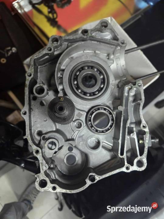 Silnik 167fmm Xmotos 250 śląskie Teklinów