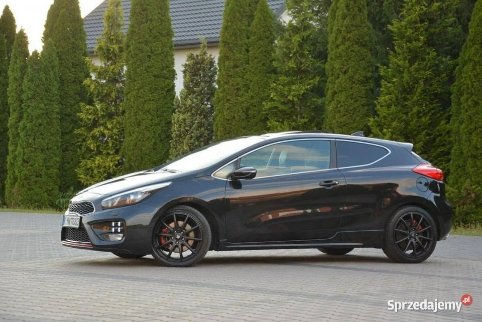 Kia Pro Ceed GT Navi Panorama Ledy Bixenon Skóry przyciemniane szyby Ostrów Mazowiecka