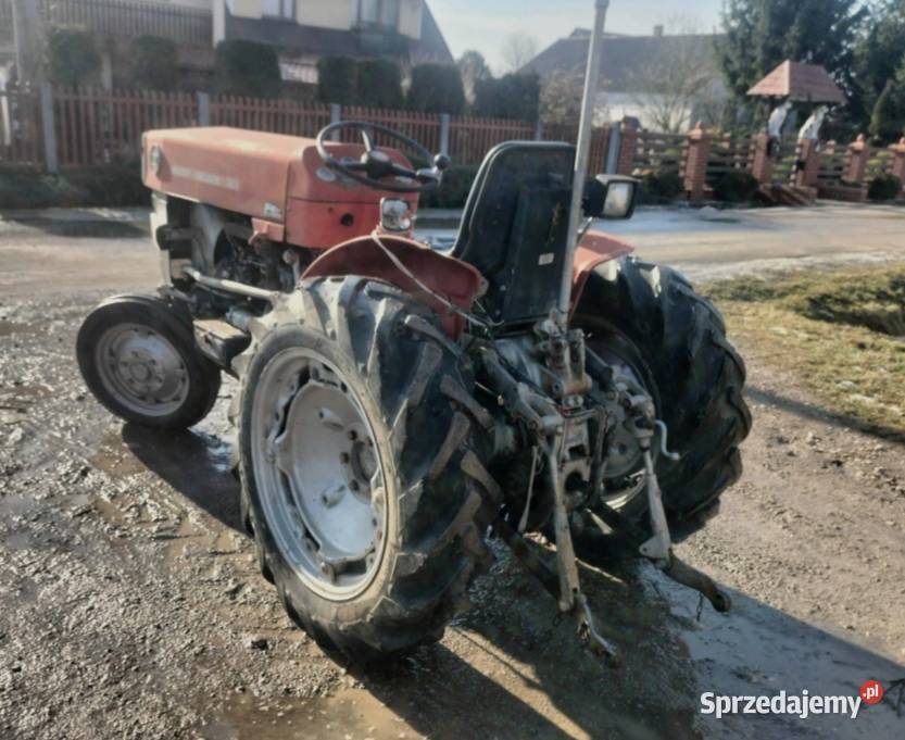 Massey Ferguson 130 sadownik traktorek Busko-Zdrój