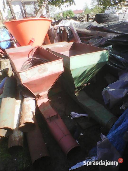 dmuchawy polskie Dąbie