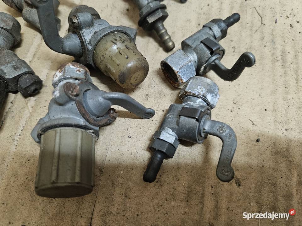 Kraniki Mz Simson Kraniki Kłodawa