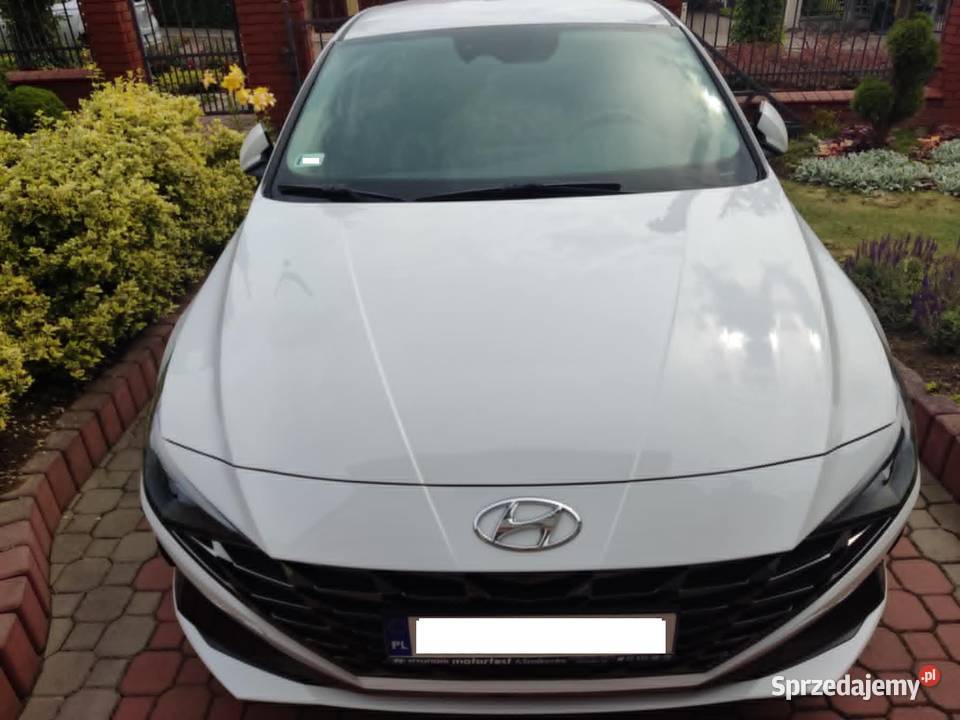 Hyundai Elantra CN7 EXECUTIVE Jasło