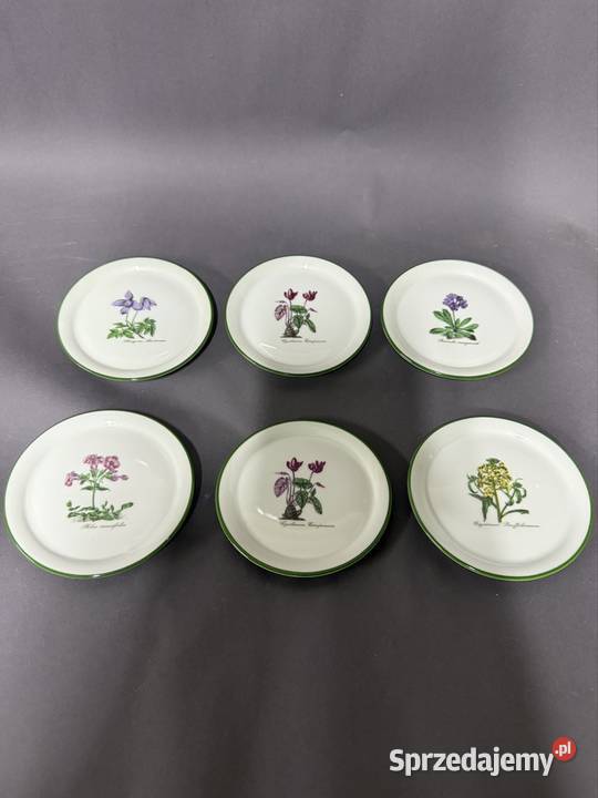 Talerzyki botaniczne lubuskie Gorzów Wielkopolski sprzedam