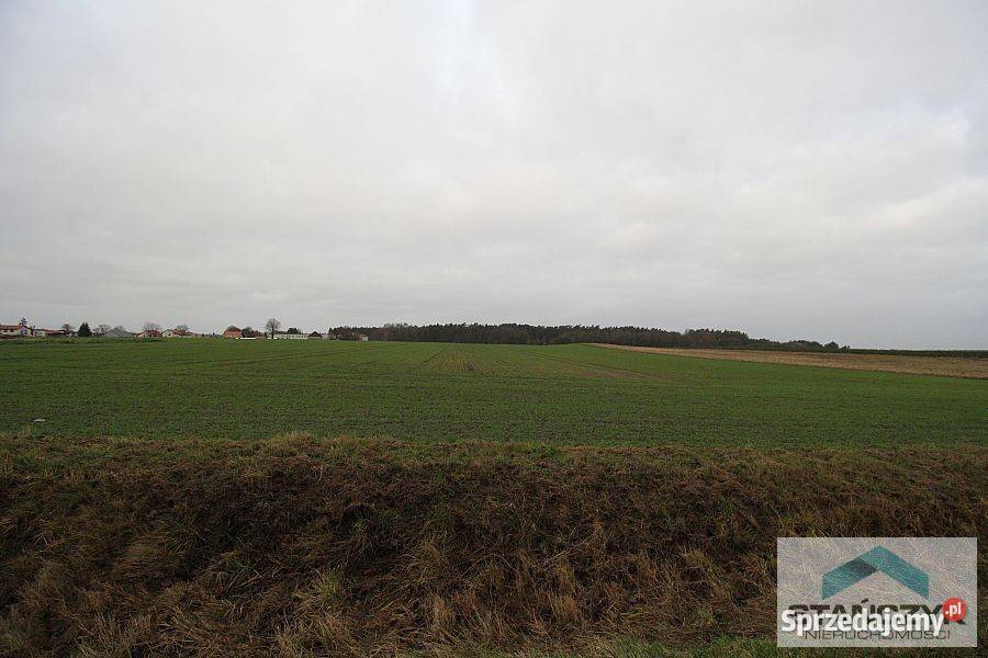 Sprzedam działka Ładzin 4600 metrów sprzedam