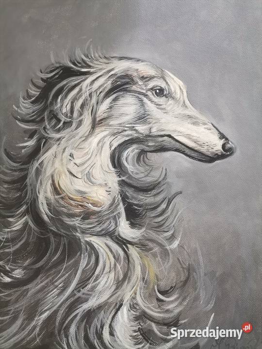 Borzoi, psi portret, ręcznie malowany na płótnie 30x40 cm