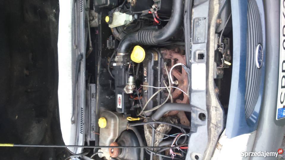 Ford Fiesta Courier 13 benz 98 5 osób 700 Wodzisław Śląski