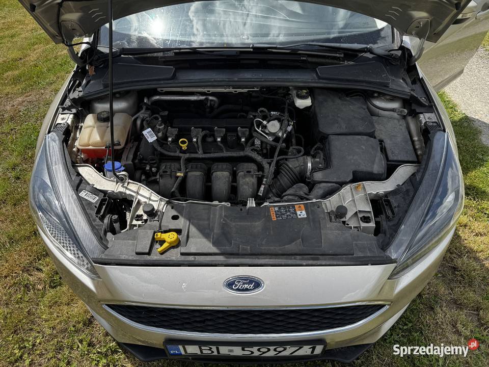Ford Focus lubelskie Frampol
