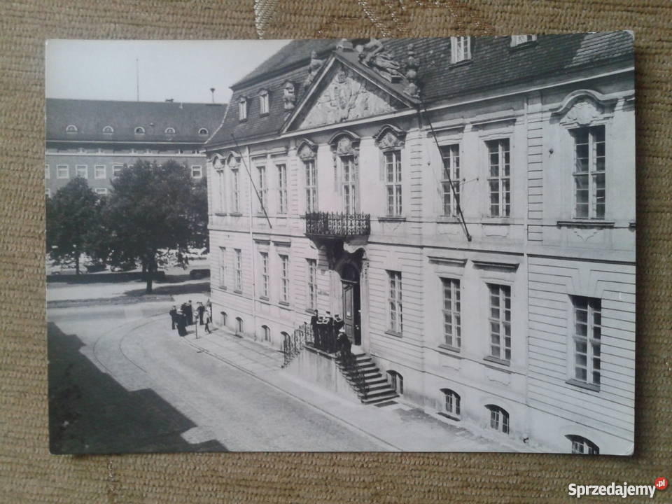 SZCZECIN MUZEUM POMORZA ZACHODNIEGO Piszczac sprzedam