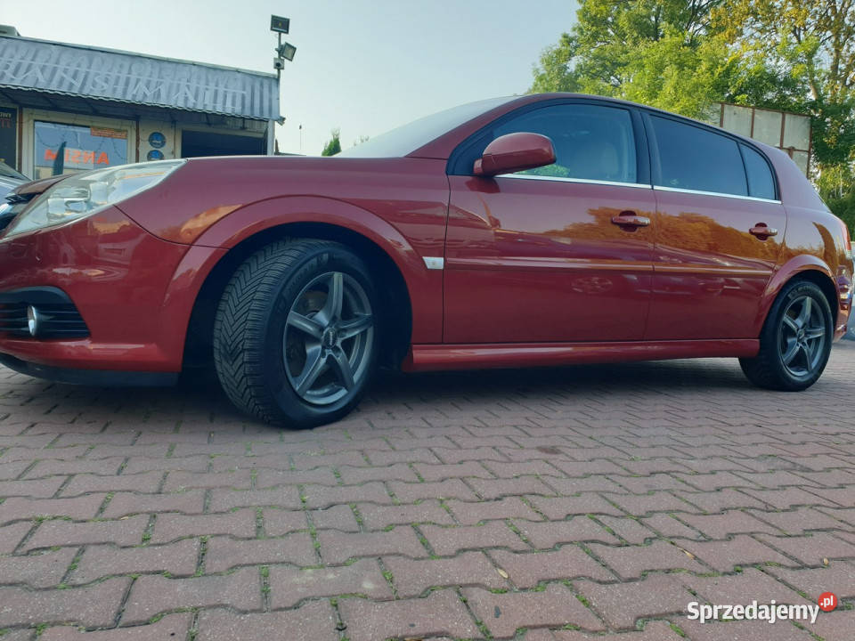 Opel Signum Najbogatsza Wersja Full 20 Turbo 175 Hatchback lubelskie Lublin