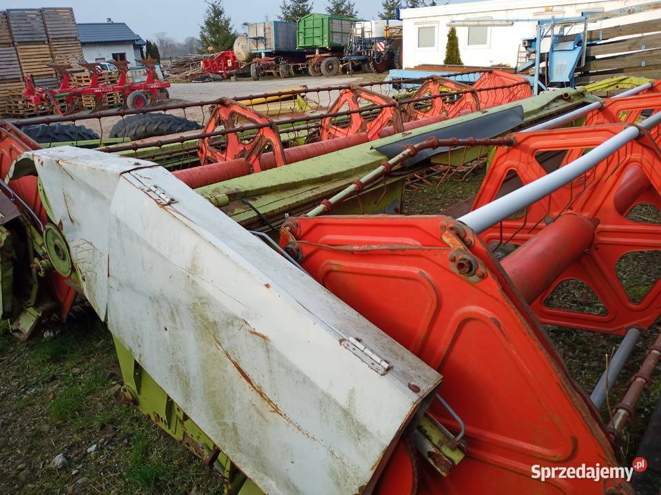 Claas Dominator Lexion stół do rzepaku 6 m Sępólno Krajeńskie sprzedam