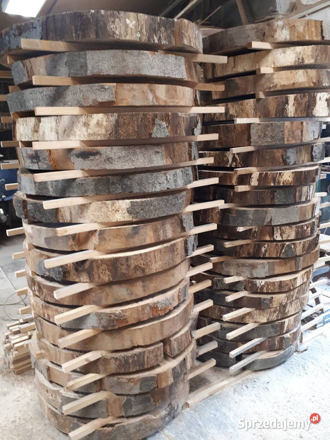 Suche Plastry Drewna Zagrzybiony Buk 85 Radomsko