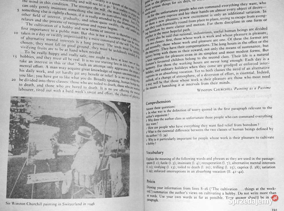 Fluency in English Concept English L G Alexander sprzedam