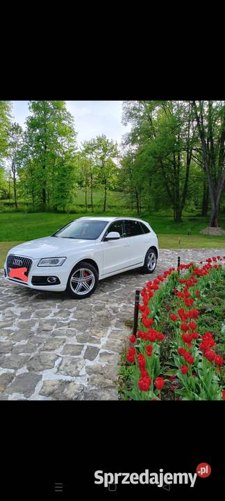 AudiQ5 20 1968cm3 Korzenna