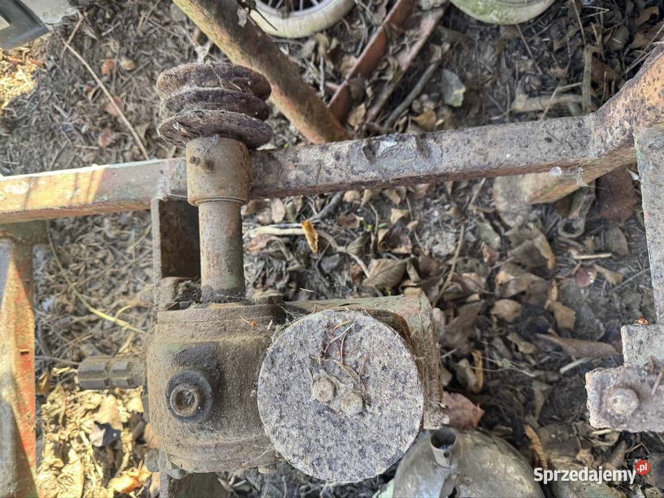 Przykładnia z motyl rosiewacz lubelskie Zamość