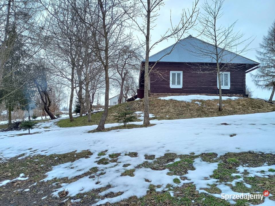 Dom drewniany do zamieszkania działka 24ary mieszkalny Malinówka
