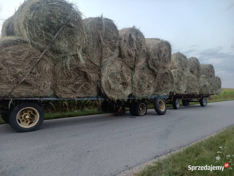 siano bele 150 duże Biała Podlaska