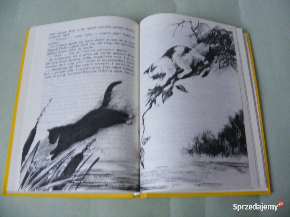 Idzie niebo ciemną nocą Pamiętniki osiołka