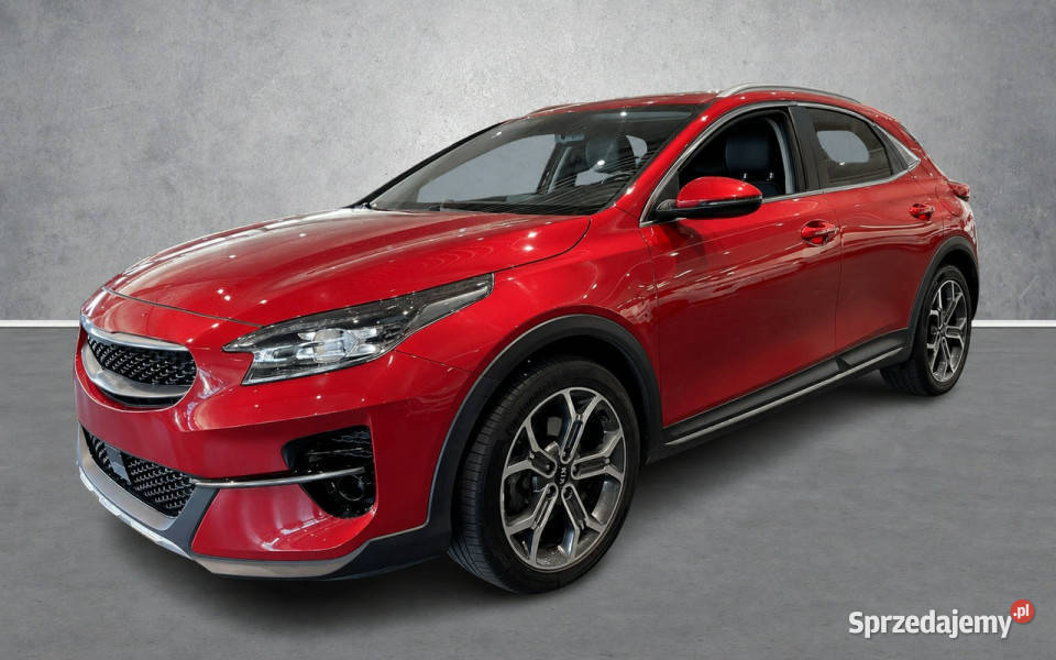 Kia XCeed bordowy XCeed Sadlno