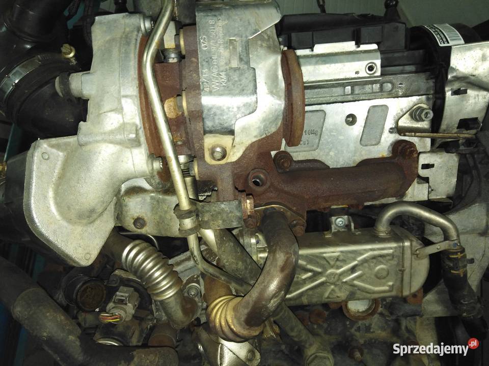 Czesci silnika vw 20 tdi CFHCFF osobowe Lubin